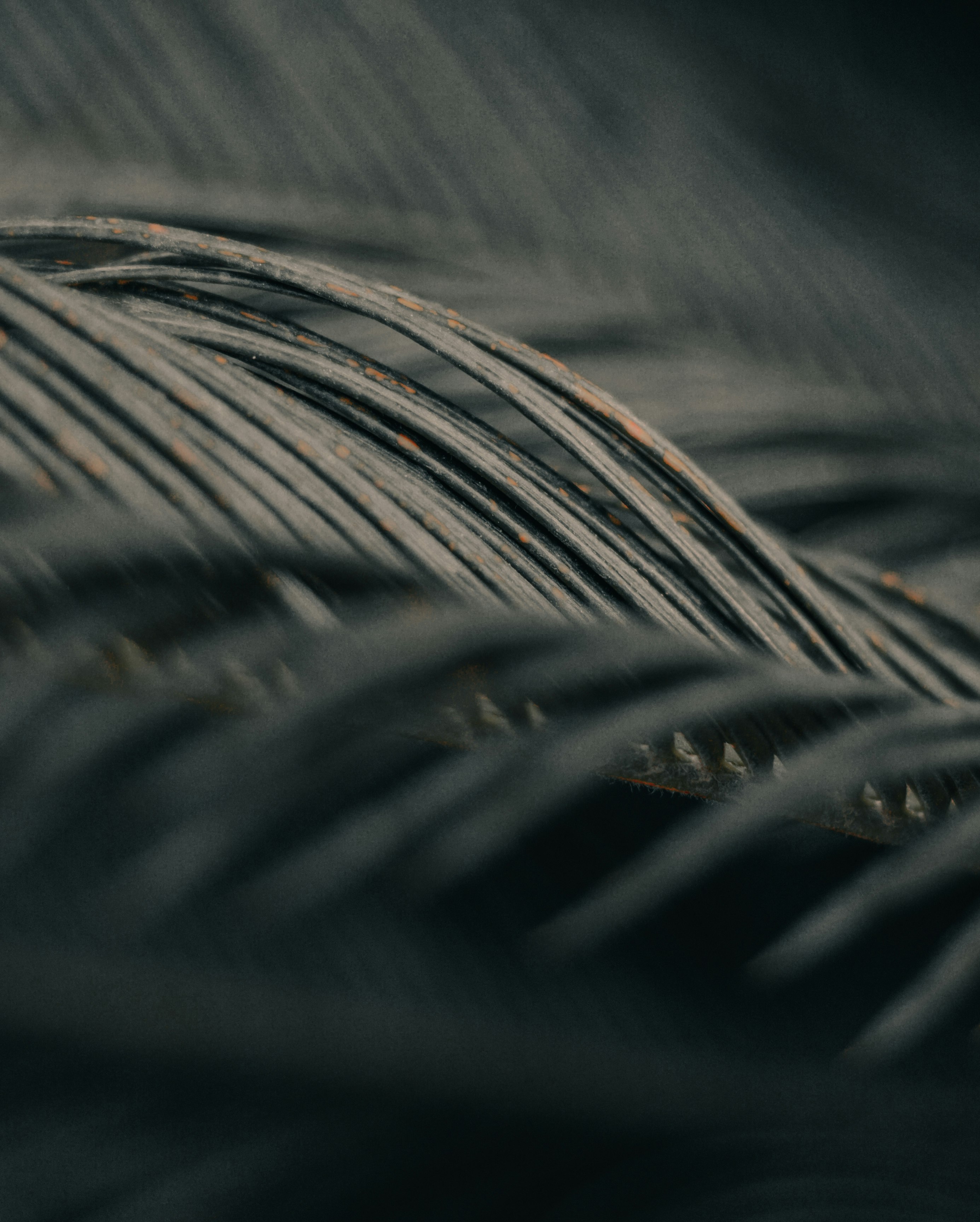 water droplets on black textile